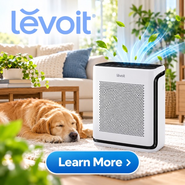 Levoit Review